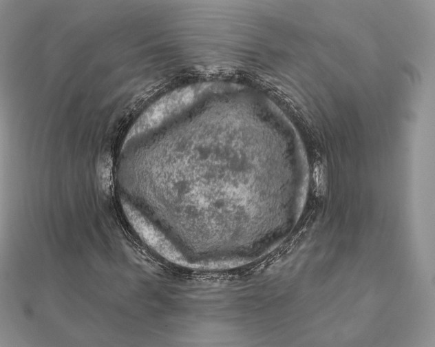 X0000112350963200909031846