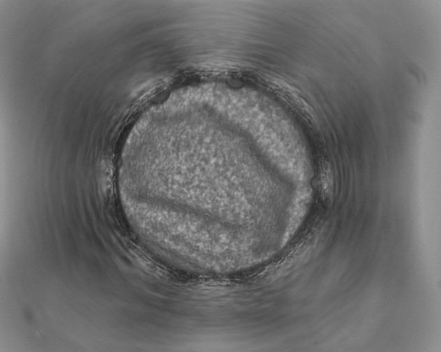 X0000112350964200909031846