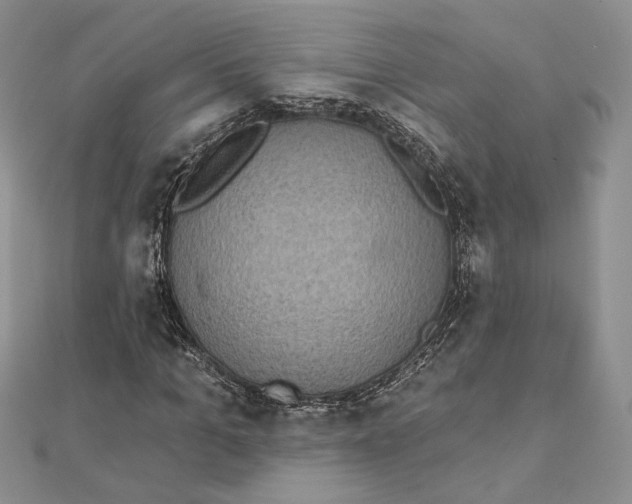 X0000112350965200909031846