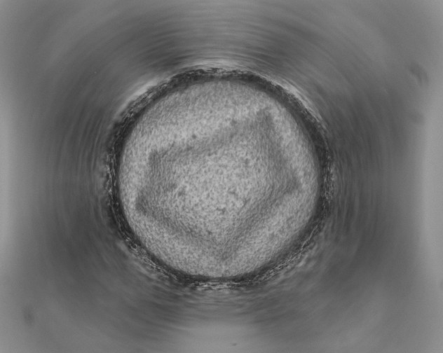 X0000112350967200909031846