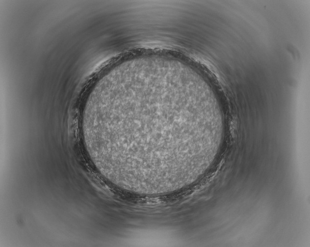 X0000112350968200909031846