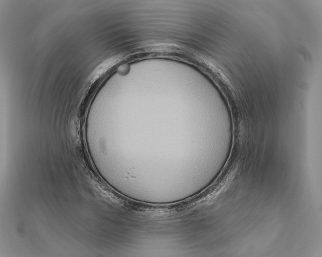 X0000112350970200909031846