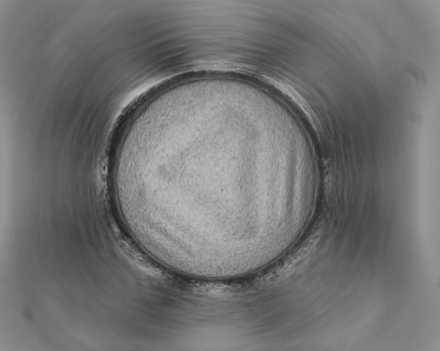 X0000112350971200909031846