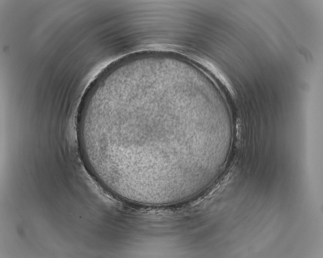 X0000112350972200909031846