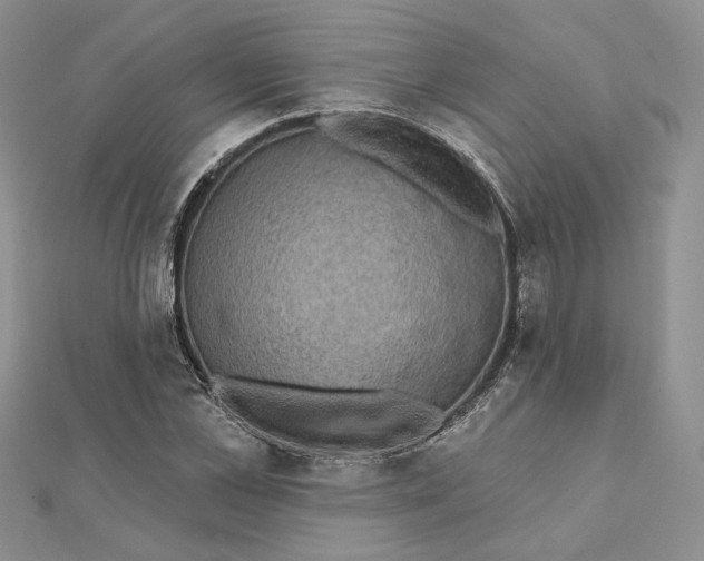 X0000112350973200909031845