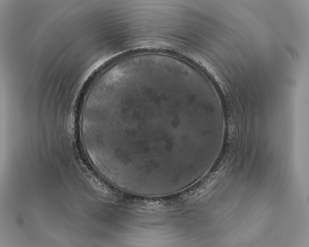 X0000112350975200909031845