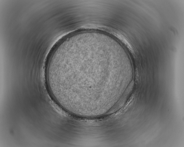 X0000112350976200909031845