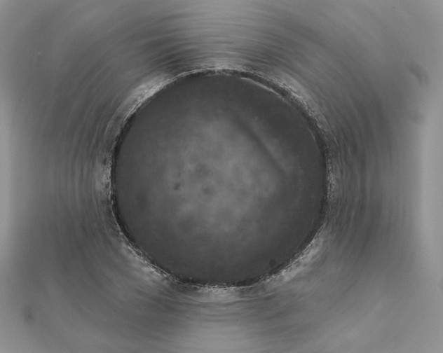 X0000112350977200909031845