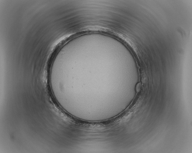 X0000112350979200909031845