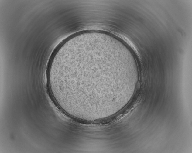 X0000112350980200909031845