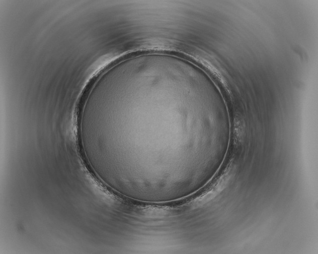 X0000112350981200909031845