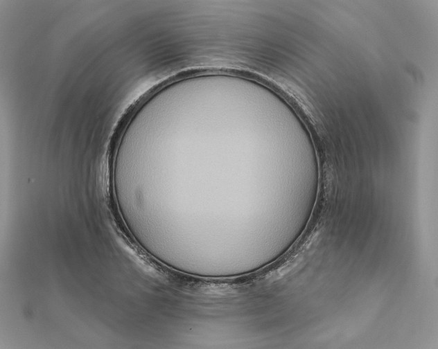 X0000112350982200909031845