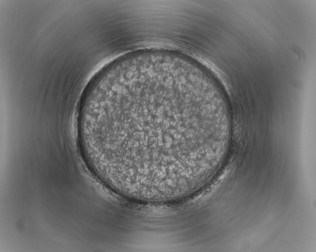 X0000112350983200909031845