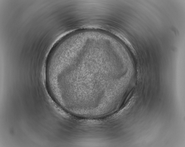 X0000112350984200909031845