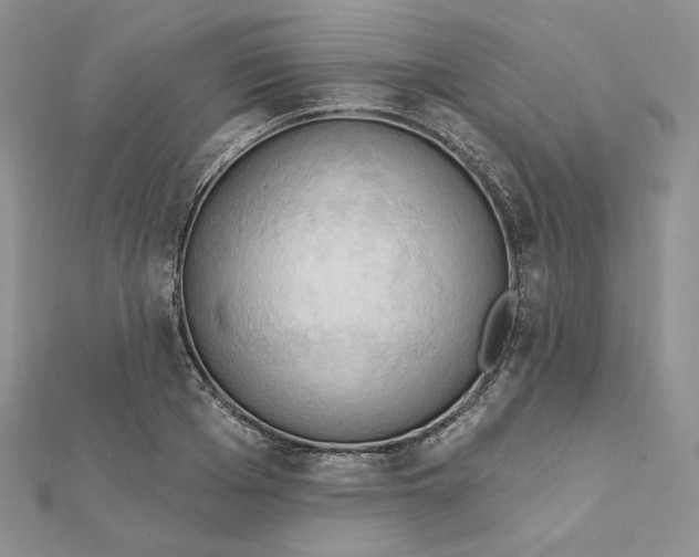 X0000112350985200909031845