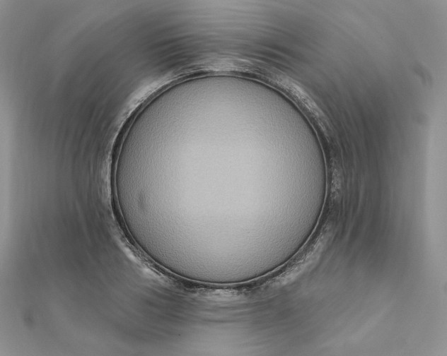 X0000112350986200909031845