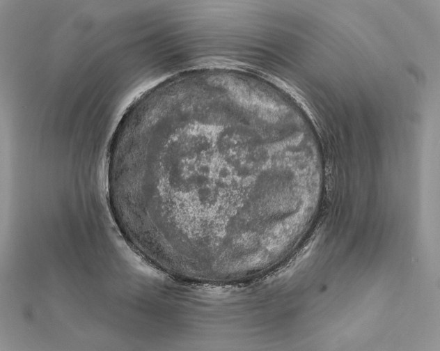 X0000112350987200909031845