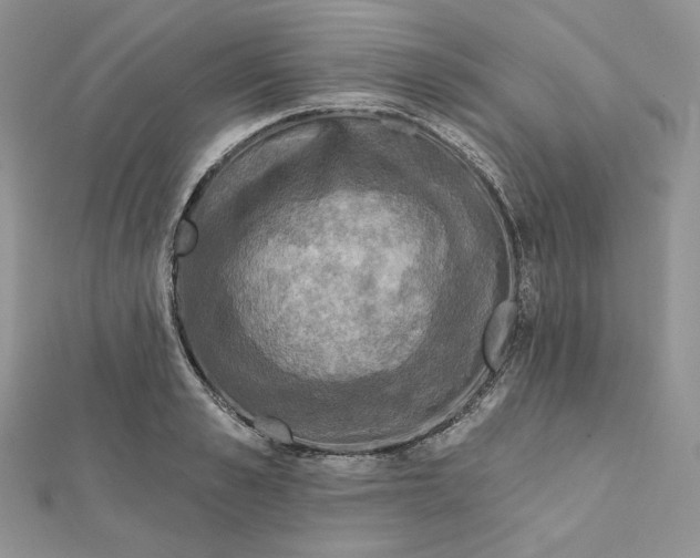 X0000112350989200909031845