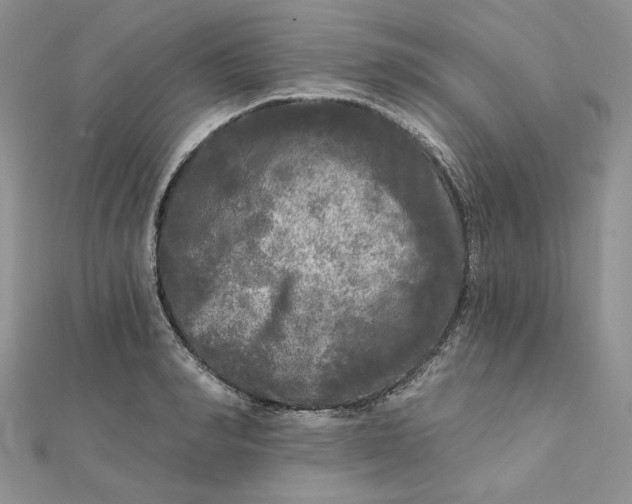 X0000112350990200909031845