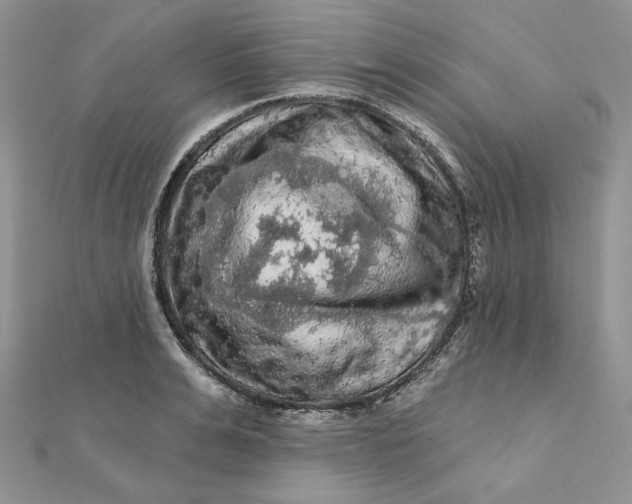 X0000112350991200909031845