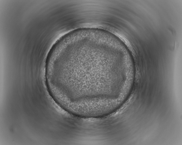 X0000112350992200909031845