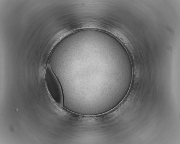 X0000112350993200909031845