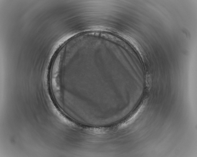 X0000112350995200909031845