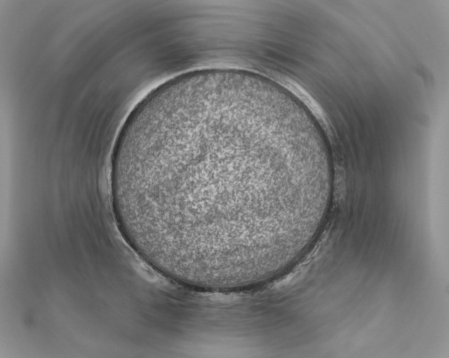 X0000112350996200909031845