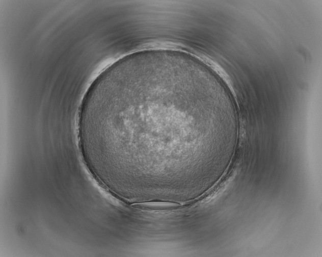 X0000112350997200909031845