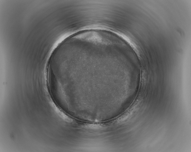 X0000112350998200909031845