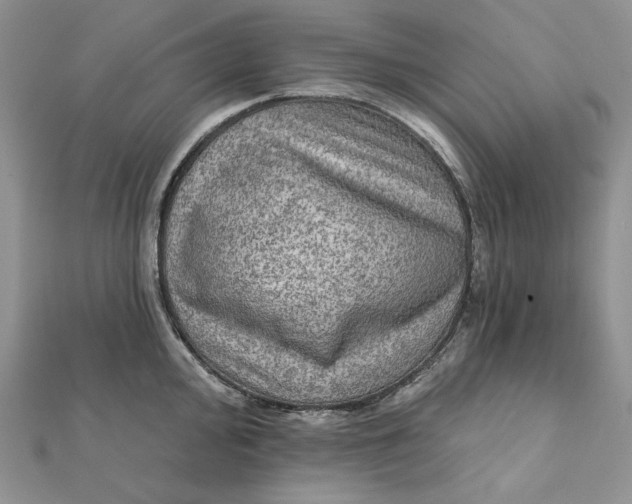 X0000112351000200909031845