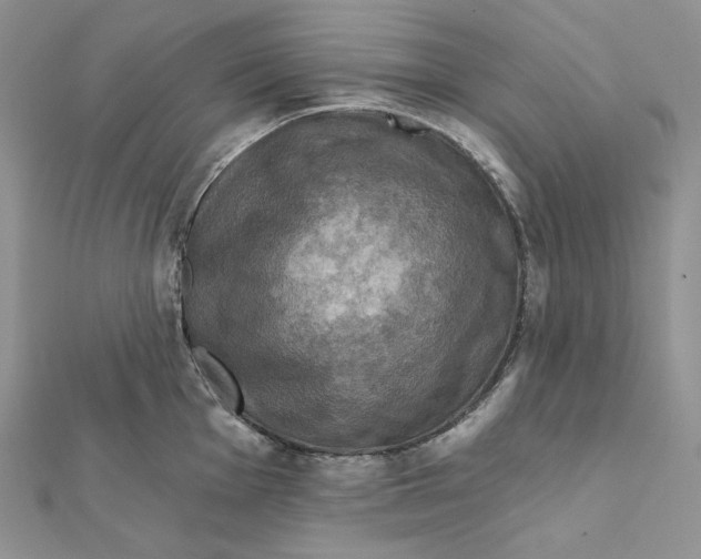 X0000112351001200909031845