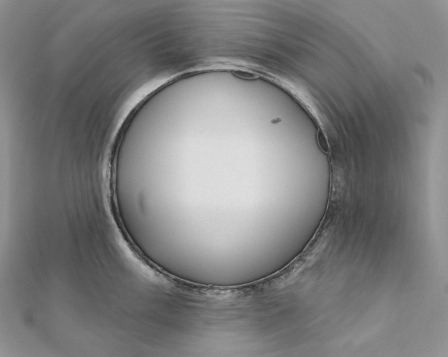 X0000112351003200909031845