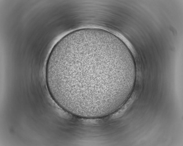 X0000112351004200909031845