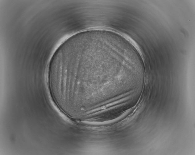 X0000112351005200909031845