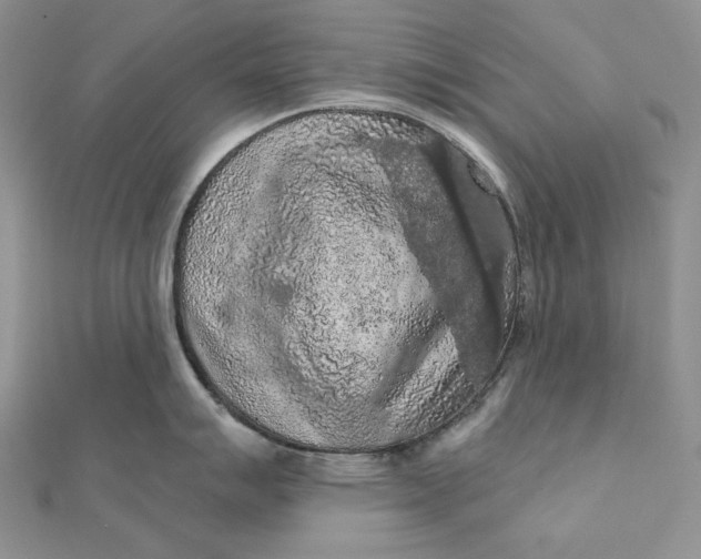 X0000112351007200909031845