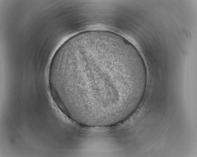 X0000112351008200909031845