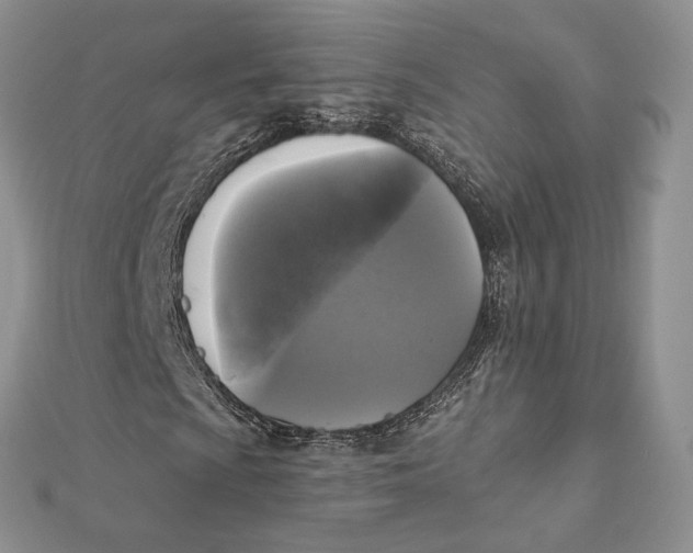 X0000112351009200909031844