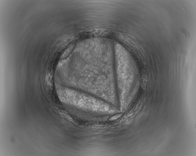 X0000112351010200909031844