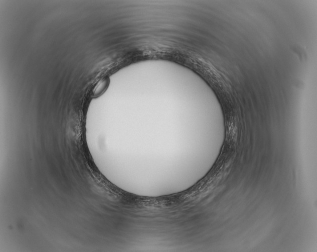 X0000112351012200909031844