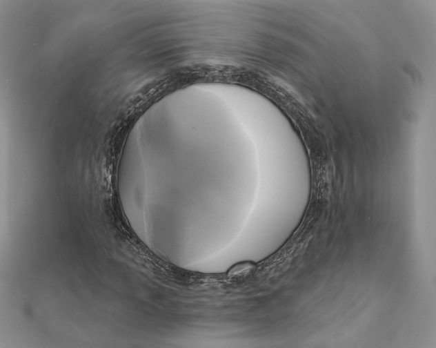 X0000112351013200909031844