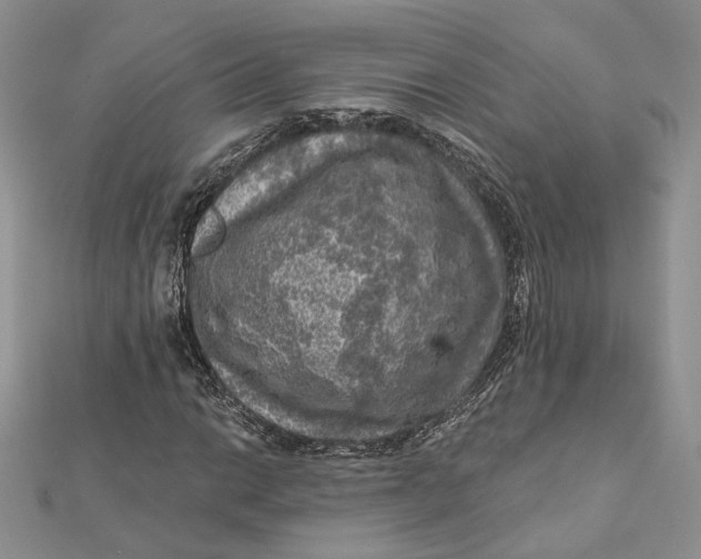 X0000112351014200909031844