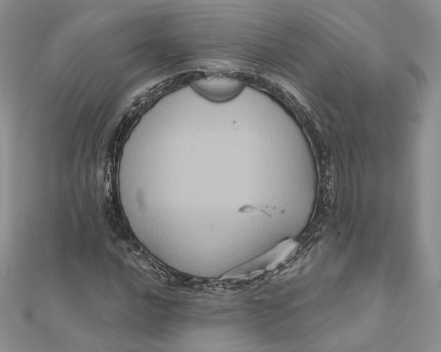 X0000112351016200909031844