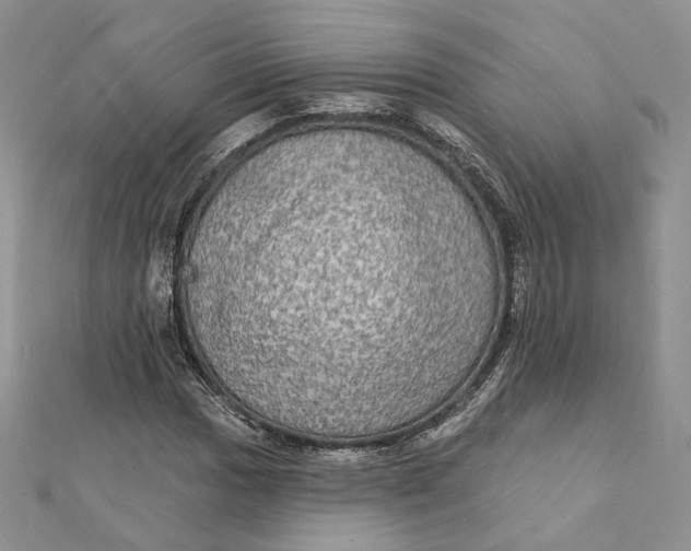 X0000112351017200909031844