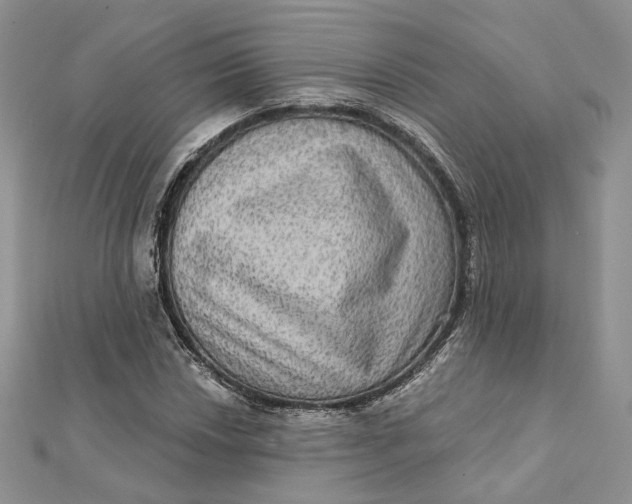 X0000112351018200909031844