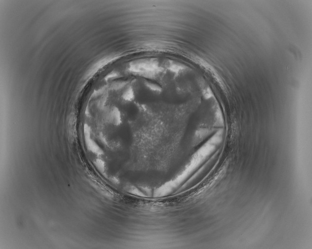 X0000112351019200909031844