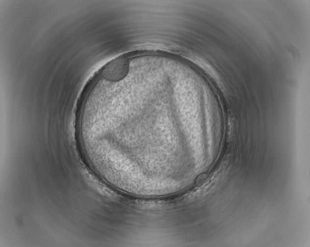 X0000112351020200909031844