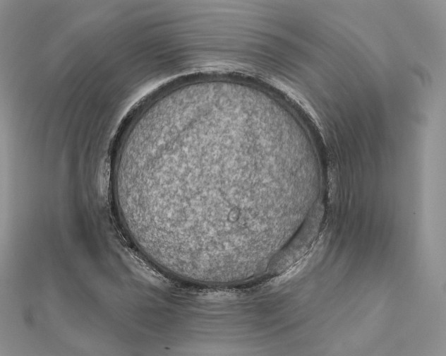 X0000112351021200909031844