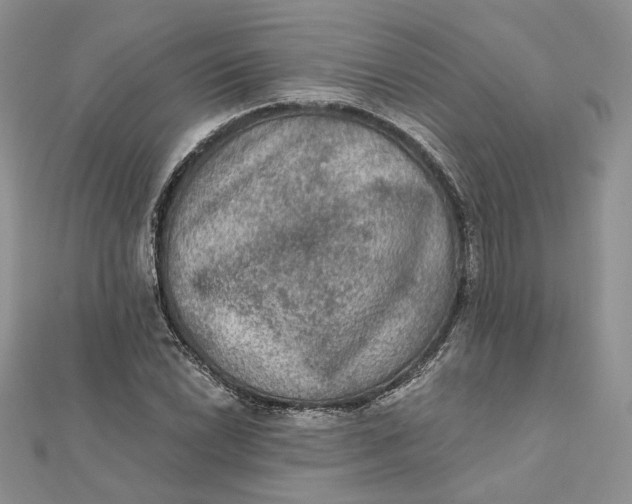 X0000112351022200909031844