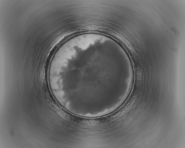 X0000112351023200909031844